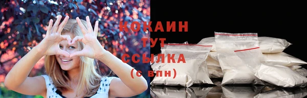 твердый Армянск