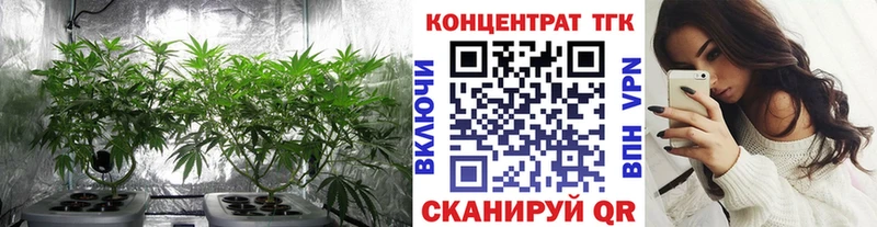 ТГК Wax Рошаль
