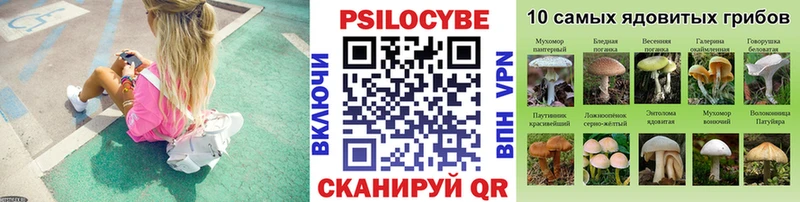это состав гидра Рошаль Галлюциногенные грибы мицелий